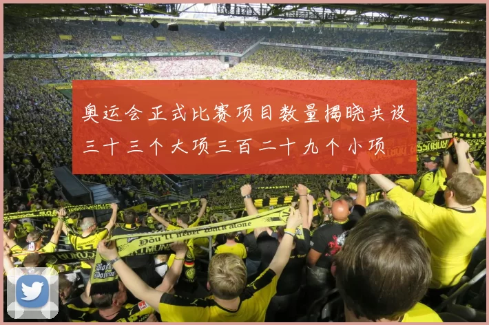 奥运会正式比赛项目数量揭晓共设三十三个大项三百二十九个小项