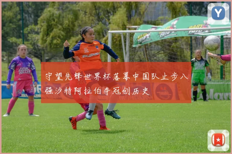 守望先锋世界杯落幕中国队止步八强沙特阿拉伯夺冠创历史