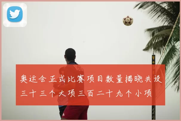 奥运会正式比赛项目数量揭晓共设三十三个大项三百二十九个小项